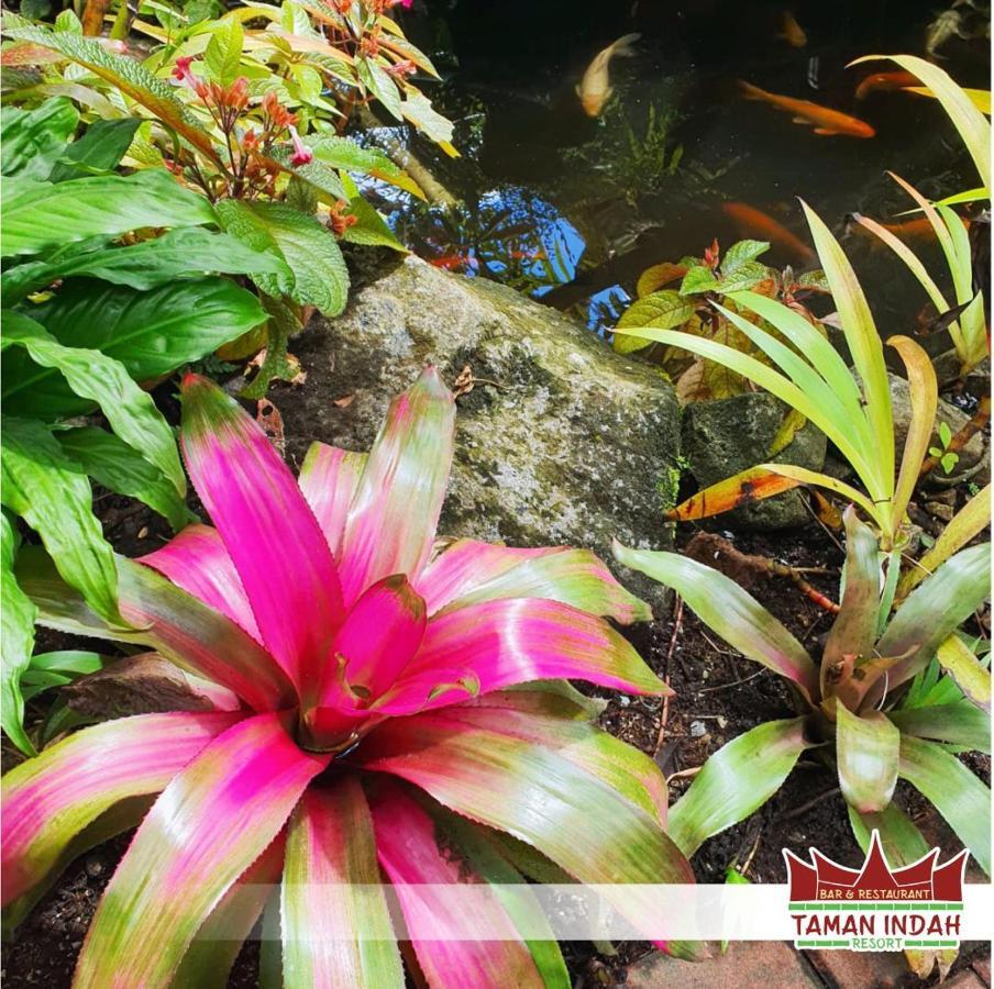 Taman Indah Resort Tamanredjo Extérieur photo